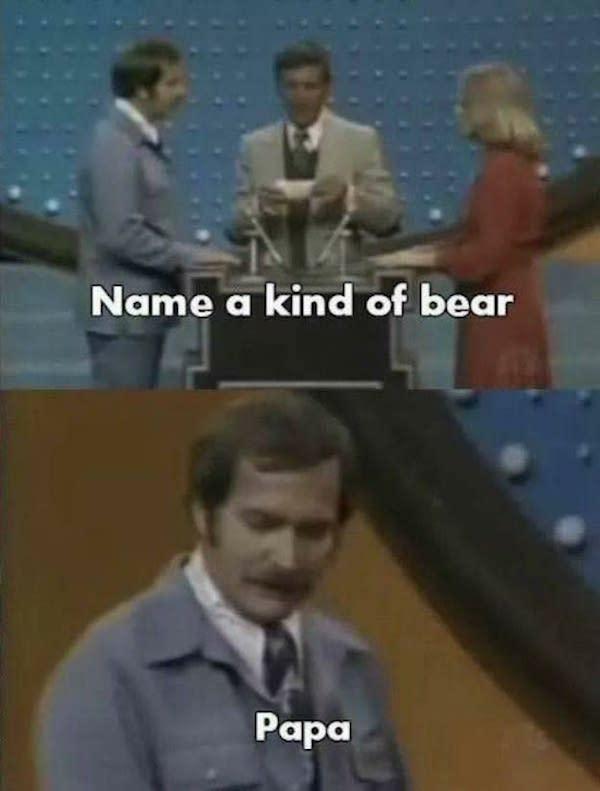 worst game show answers - Name a kind of bear Pap