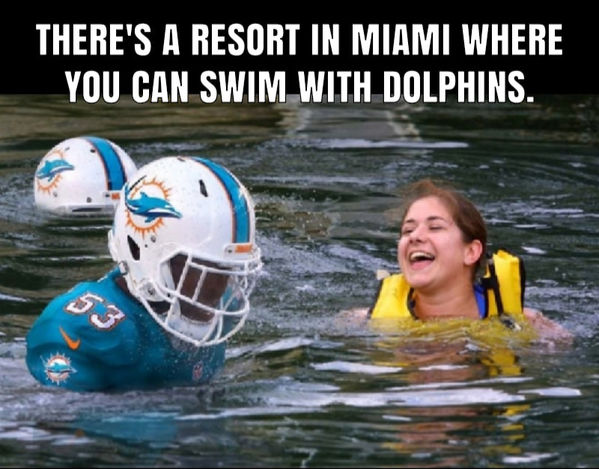 florida resort allows guests to swim with miami dolphins - There'S A Resort In Miami Where You Can Swim With Dolphins.