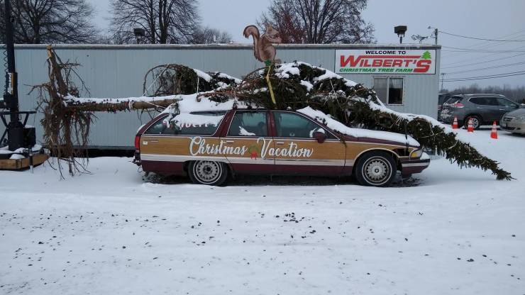 snow - Wilber Christmas Vacation