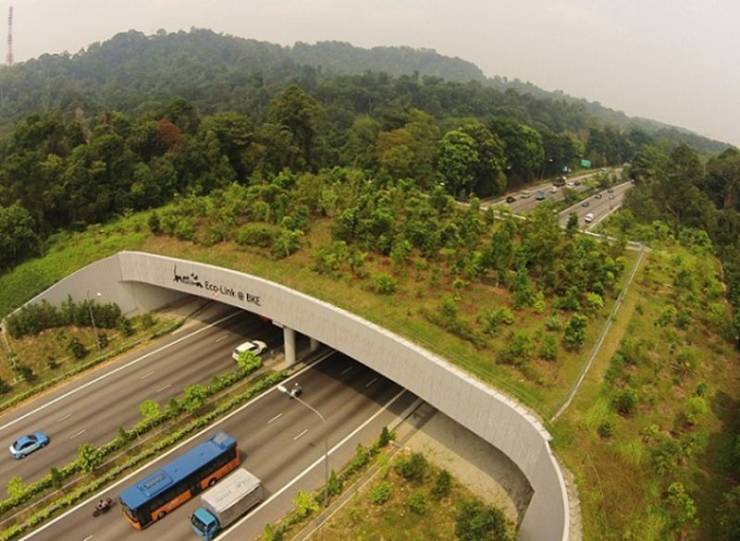 eco link bridge singapore