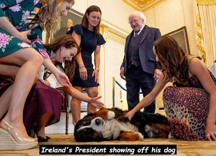 michael d higgins dogs hockey - Ireland's President showing off his dog