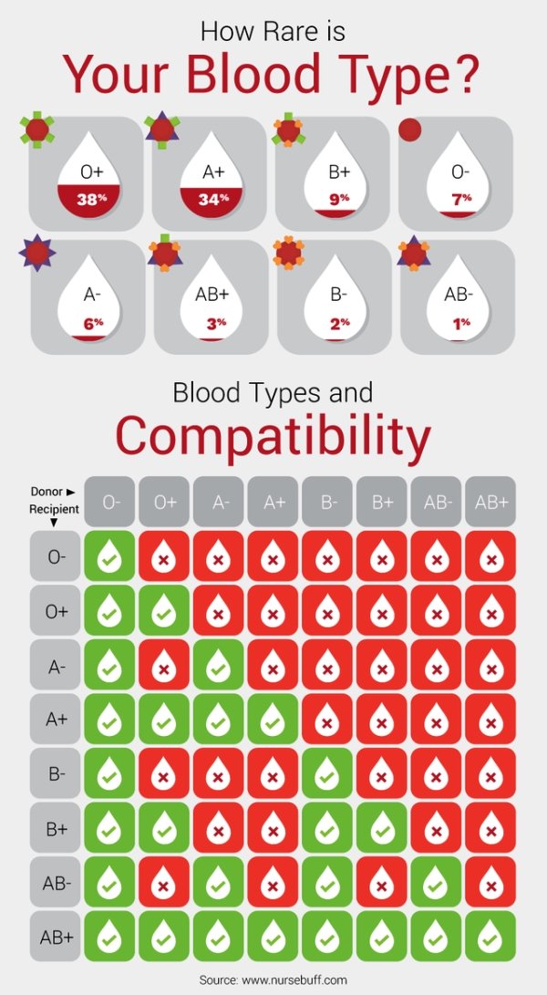 blood types uk - How Rare is Your Blood Type? 0 A B 38% 34% 9% 7% A Ab Ab 6% 3% 2% 1% Blood Types and Compatibility Donor Recipient 0 0 A A B B Ab Ab 0 X X X X X X 0 x X x X X A X X X X Xxx A X B X X X X X X B X x x Ab X x X X Ab Source
