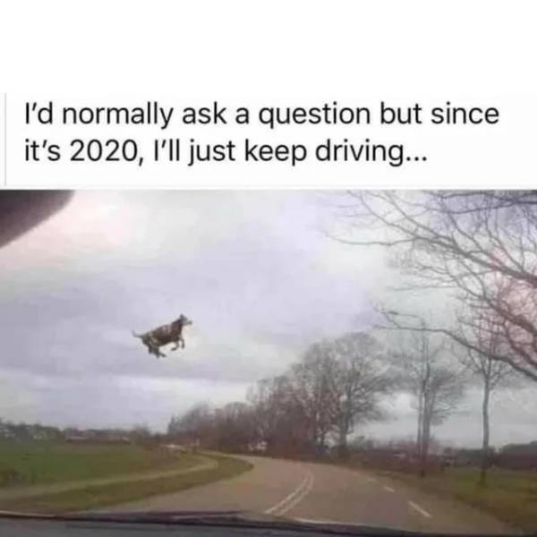 I'd normally ask a question but since it's 2020, I'll just keep driving...