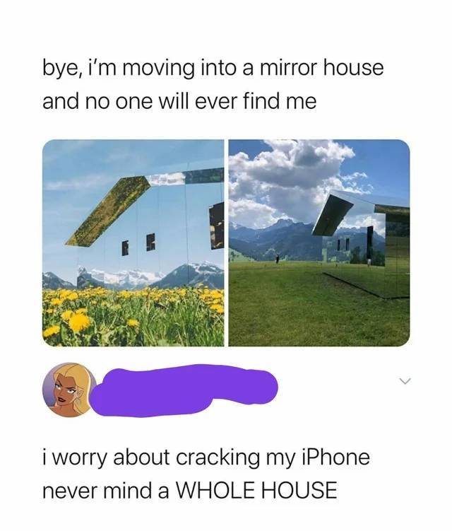 mirror house in field - bye, i'm moving into a mirror house and no one will ever find me i worry about cracking my iPhone never mind a Whole House