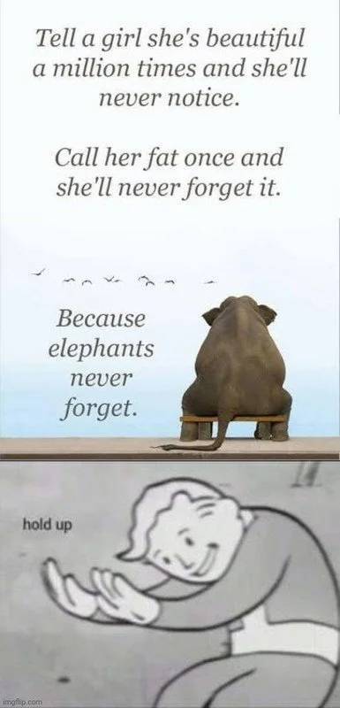 funny relatable memes dark humor memes - Tell a girl she's beautiful a million times and she'll never notice. Call her fat once and she'll never forget it. Because elephants never forget. hold up imgflip.com