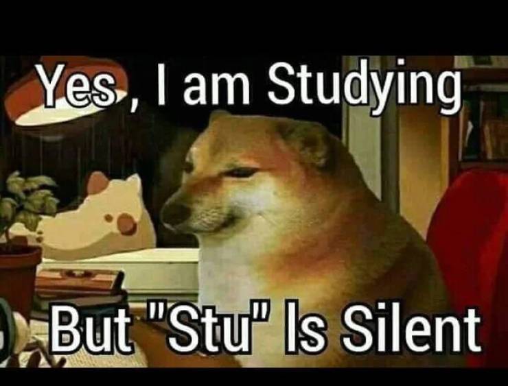 lofi kiryu - Yes, I am Studying But "Stu Is Silent