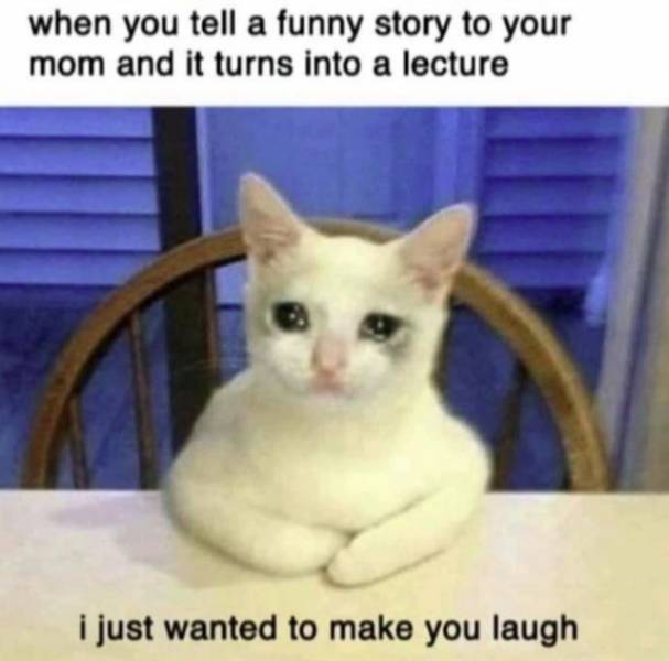 memes to make your mom laugh - when you tell a funny story to your mom and it turns into a lecture i just wanted to make you laugh