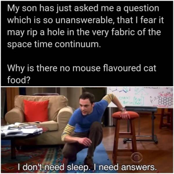mickey mouse clubhouse memes - My son has just asked me a question which is so unanswerable, that I fear it may rip a hole in the very fabric of the space time continuum. Why is there no mouse flavoured cat food? I don't need sleep. I need answers.