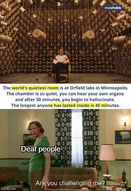weird kid screeches louder than - munchable The world's quietest room is at Orfield labs in Minneapolis. The chamber is so quiet, you can hear your own organs and after 30 minutes, you begin to hallucinate. The longest anyone has lasted inside is 45 minut