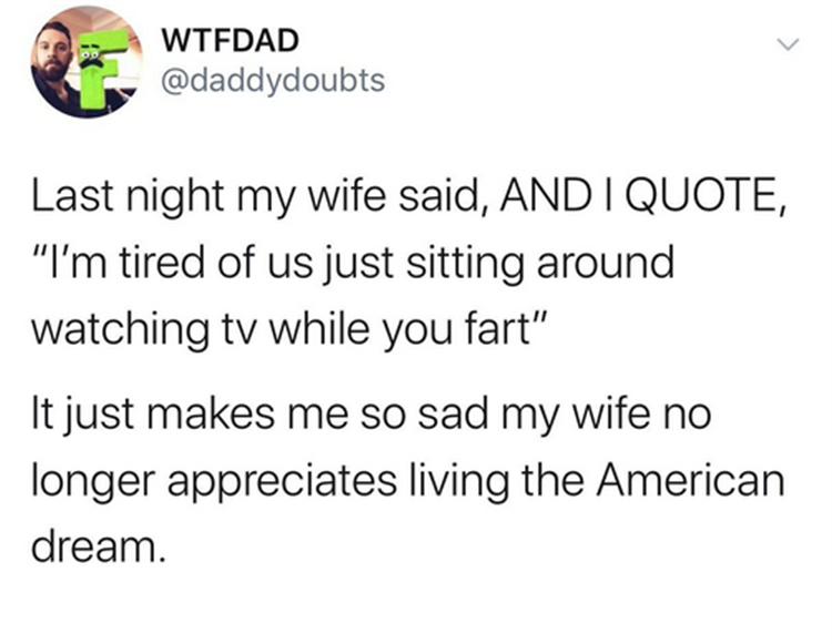 most relatable - Wtfdad Last night my wife said, And I Quote, "I'm tired of us just sitting around watching tv while you fart" It just makes me so sad my wife no longer appreciates living the American dream.
