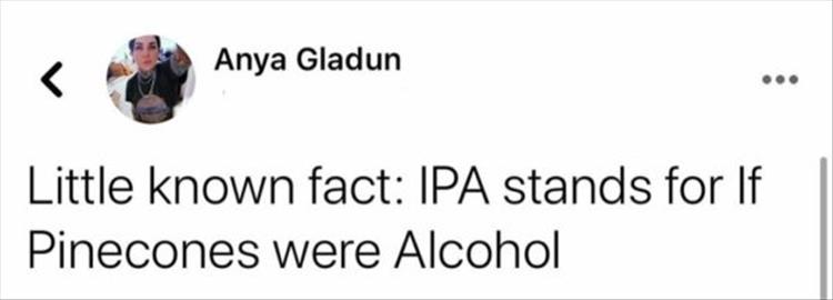 shoe - Anya Gladun Little known fact Ipa stands for If Pinecones were Alcohol
