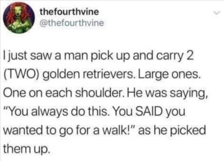 insult paragraphs - thefourthvine I just saw a man pick up and carry 2 Two golden retrievers. Large ones. One on each shoulder. He was saying, "You always do this. You Said you wanted to go for a walk!" as he picked them up.