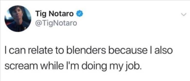 Tig Notaro I can relate to blenders because I also scream while I'm doing my job.