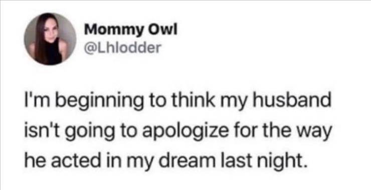 Mommy Owl I'm beginning to think my husband isn't going to apologize for the way he acted in my dream last night.