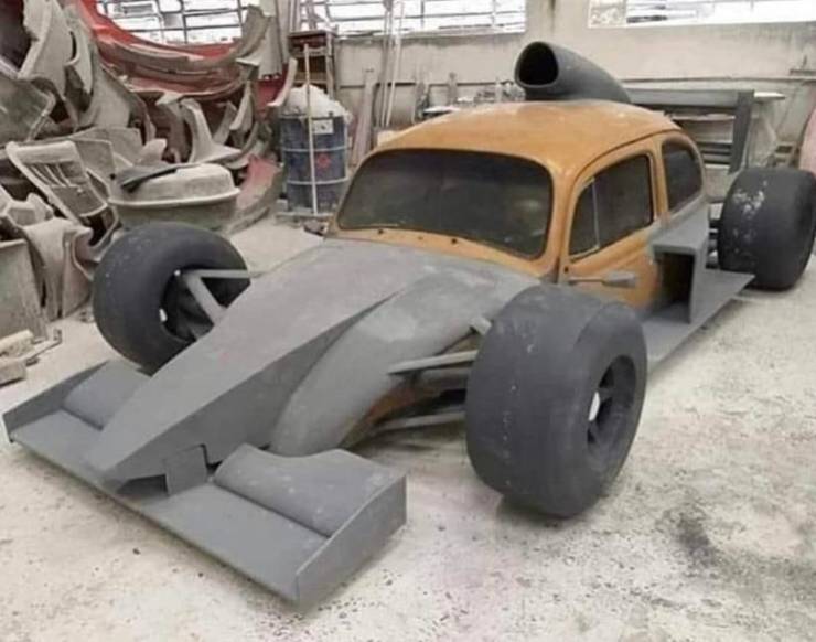 f1 beetle