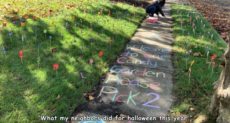 path - welcome Candy Garden Please Pick 2 "What my neighbors did for halloween this year.