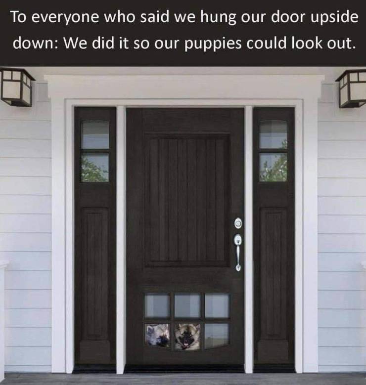 craftsman front door - To everyone who said we hung our door upside down We did it so our puppies could look out.