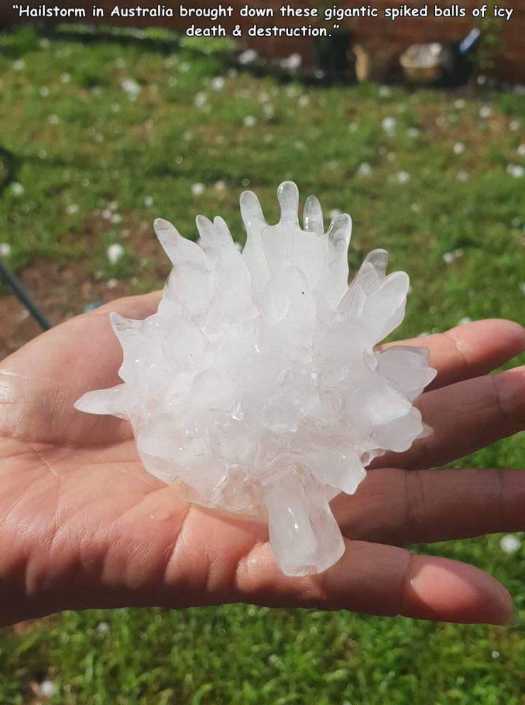 australia hail spikes - "Hailstorm in Australia brought down these gigantic spiked balls of icy death & destruction."