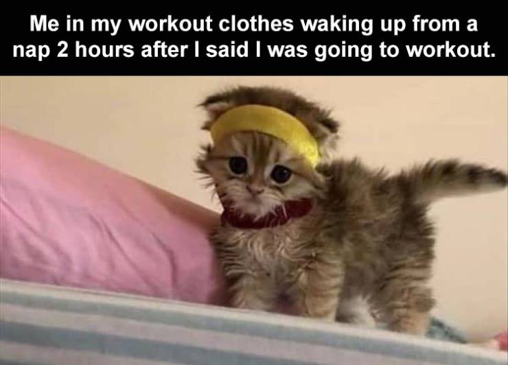 michael cera cat - Me in my workout clothes waking up from a nap 2 hours after I said I was going to workout.