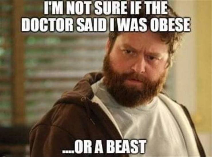 zach galifianakis tulip fever - I'M Not Sure If The Doctor Said I Was Obese ..Or A Beast