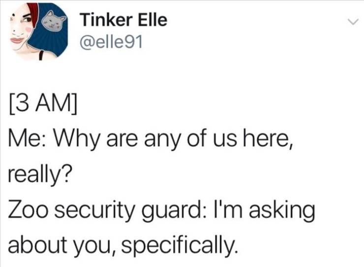 paper - Tinker Elle 3 Am Me Why are any of us here, really? Zoo security guard I'm asking about you, specifically.
