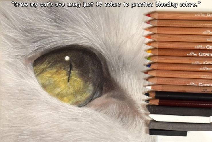 eye - "Drew my cat's eye using just 17 colors to practice blending colors. Gage Su Gene L. Genel