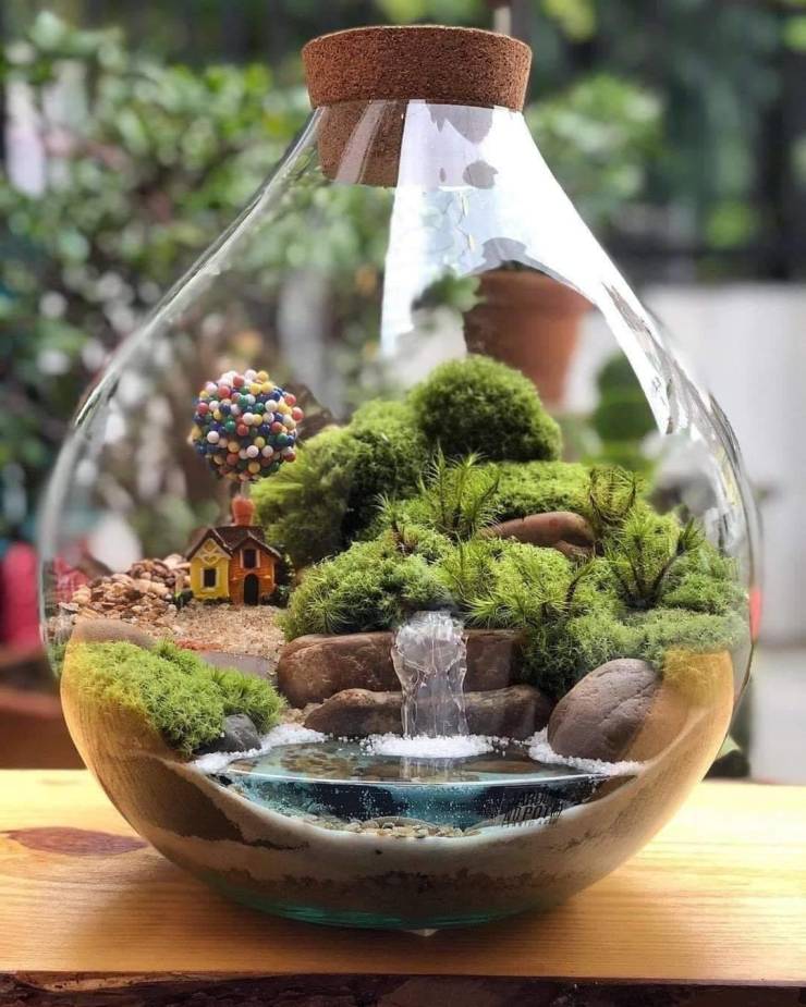 garden inside bottle