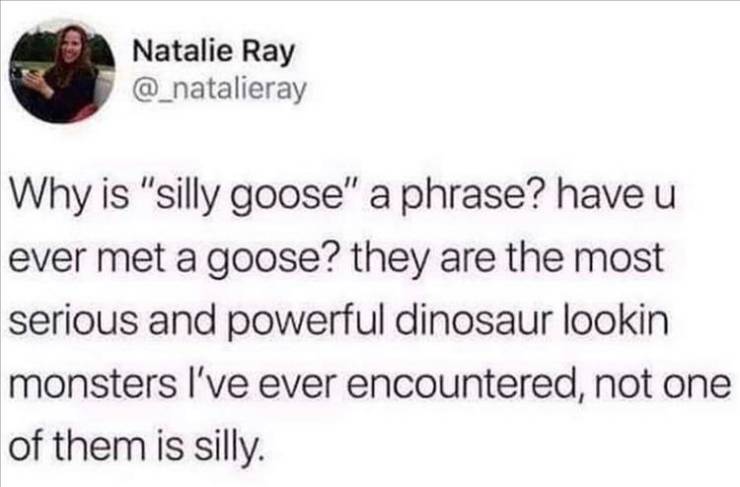 stay at home mom coronavirus meme - Natalie Ray Why is "silly goose" a phrase? have u ever met a goose? they are the most serious and powerful dinosaur lookin monsters I've ever encountered, not one of them is silly.