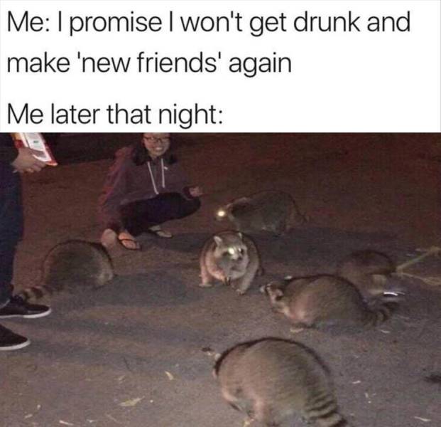 funny memes - getting out drunk friends - Me I promise I won't get drunk and make 'new friends' again Me later that night