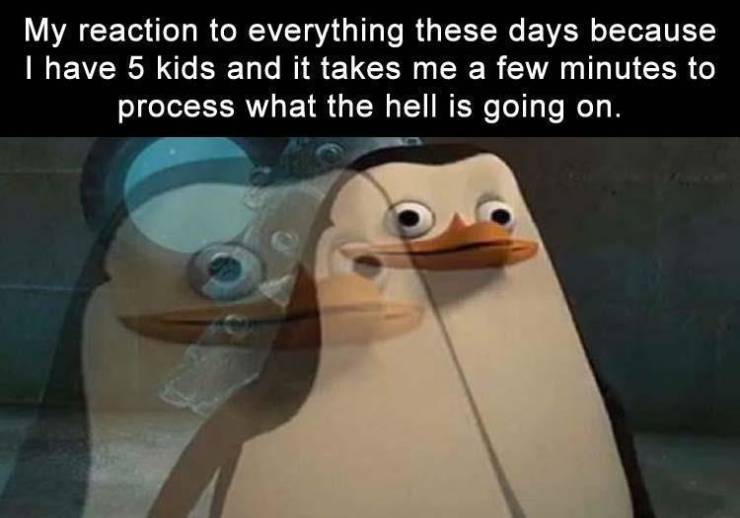 funny memes - My reaction to everything these days because I have 5 kids and it takes me a few minutes to process what the hell is going on.