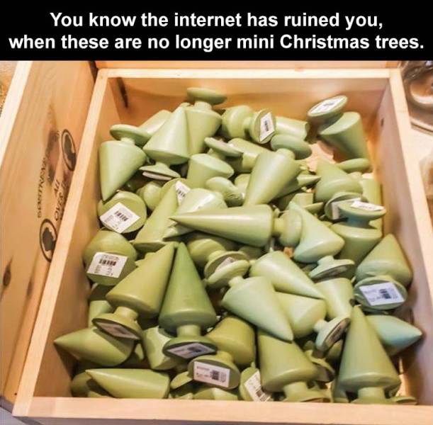 funny memes - vegetable - You know the internet has ruined you, when these are no longer mini Christmas trees.