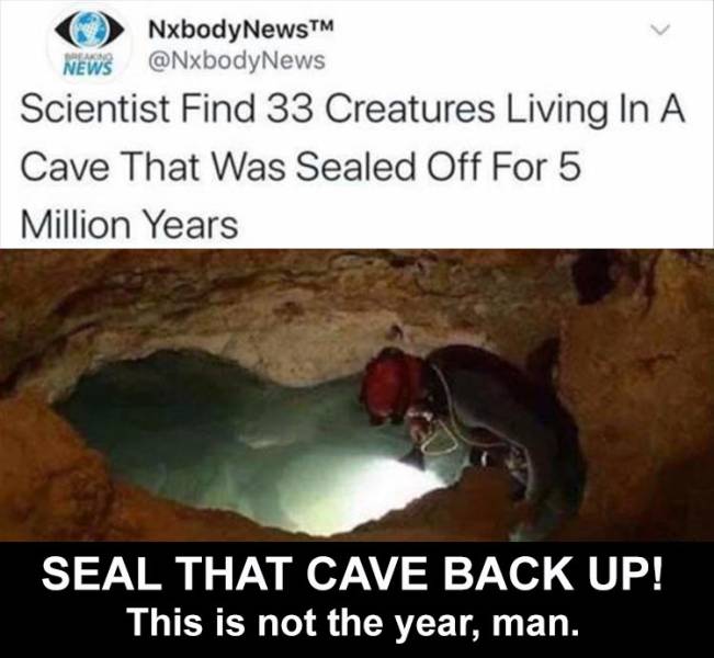 funny memes - not the year meme 2020 - News NxbodyNewsTM Scientist Find 33 Creatures Living In A Cave That Was Sealed Off For 5 Million Years Seal That Cave Back Up! This is not the year, man.