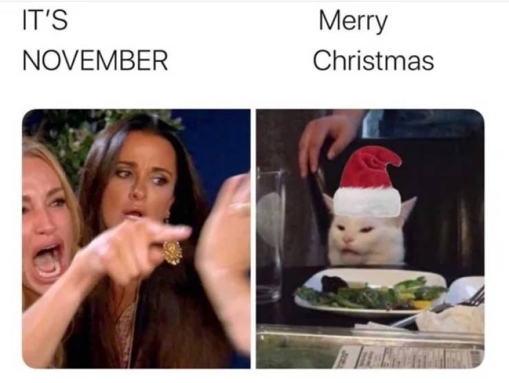 woman yelling at cat meme christmas - It'S November Merry Christmas