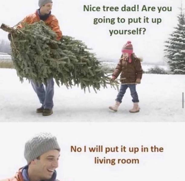 nice tree dad meme - Nice tree dad! Are you going to put it up yourself? No I will put it up in the living room