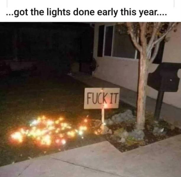 christmas lights in trash - ...got the lights done early this year.... Fuck It