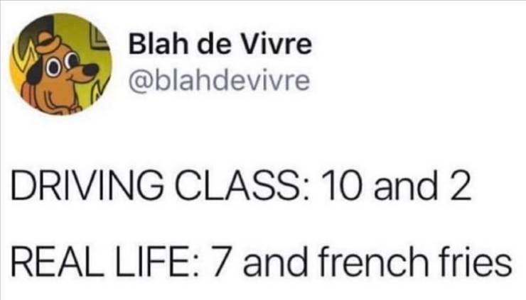 happiness - Blah de Vivre Driving Class 10 and 2 Real Life 7 and french fries