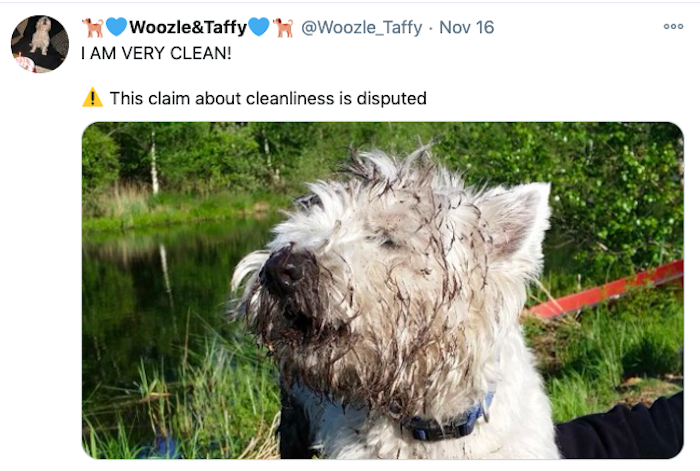 claim is disputed meme - 000 Woozle&Taffy Nov 16 I Am Very Clean! ! This claim about cleanliness is disputed