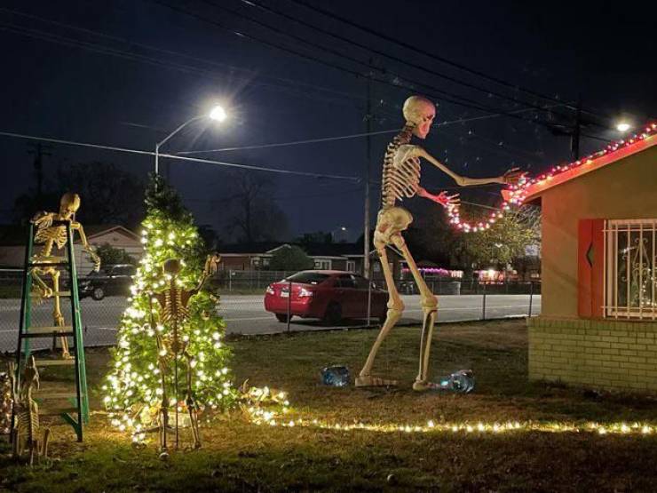 50 Festive Photos To Make Your Day