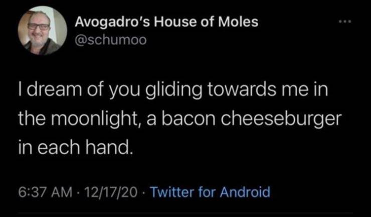 if you don t like pickles - Avogadro's House of Moles I dream of you gliding towards me in the moonlight, a bacon cheeseburger in each hand. 121720 Twitter for Android