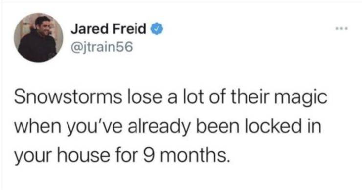 texting back - Jared Freid Snowstorms lose a lot of their magic when you've already been locked in your house for 9 months.