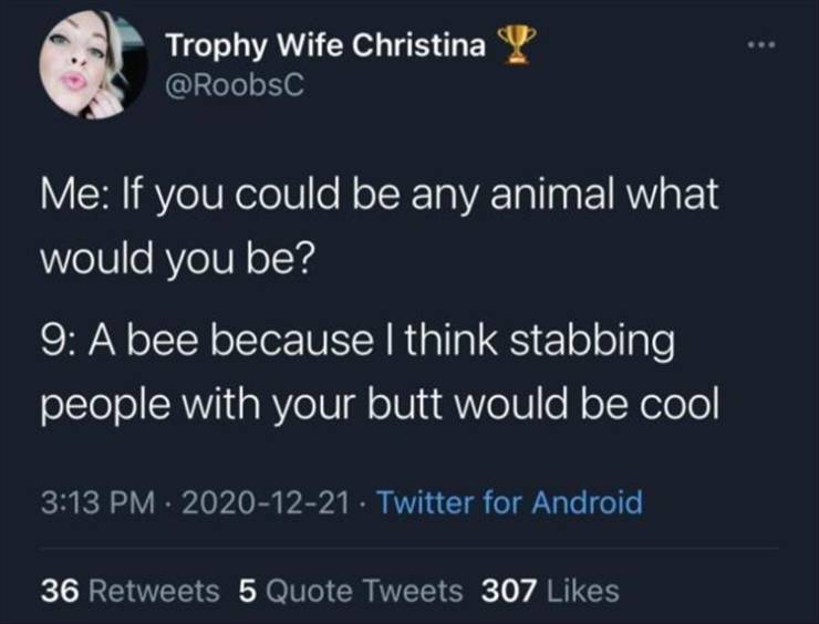 atmosphere - Trophy Wife Christina Me If you could be any animal what would you be? 9 A bee because I think stabbing people with your butt would be cool Twitter for Android 36 5 Quote Tweets 307