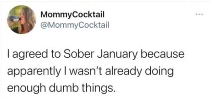 your single to me meme - MommyCocktail I agreed to Sober January because apparently I wasn't already doing enough dumb things.