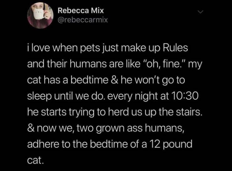 grind don t stop - Rebecca Mix i love when pets just make up Rules and their humans are "oh, fine." my cat has a bedtime & he won't go to sleep until we do. every night at he starts trying to herd us up the stairs. & now we, two grown ass humans, adhere t
