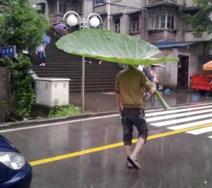 totoro leaf umbrella - 11
