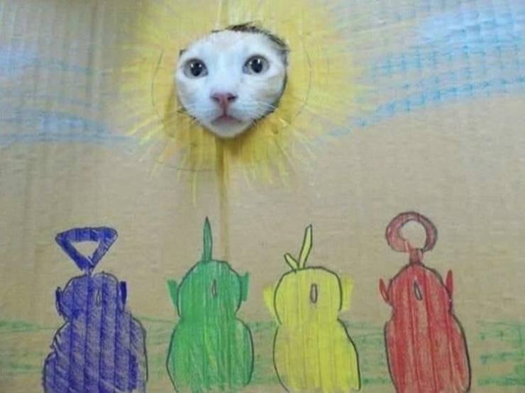 teletubbies cat sun - 0