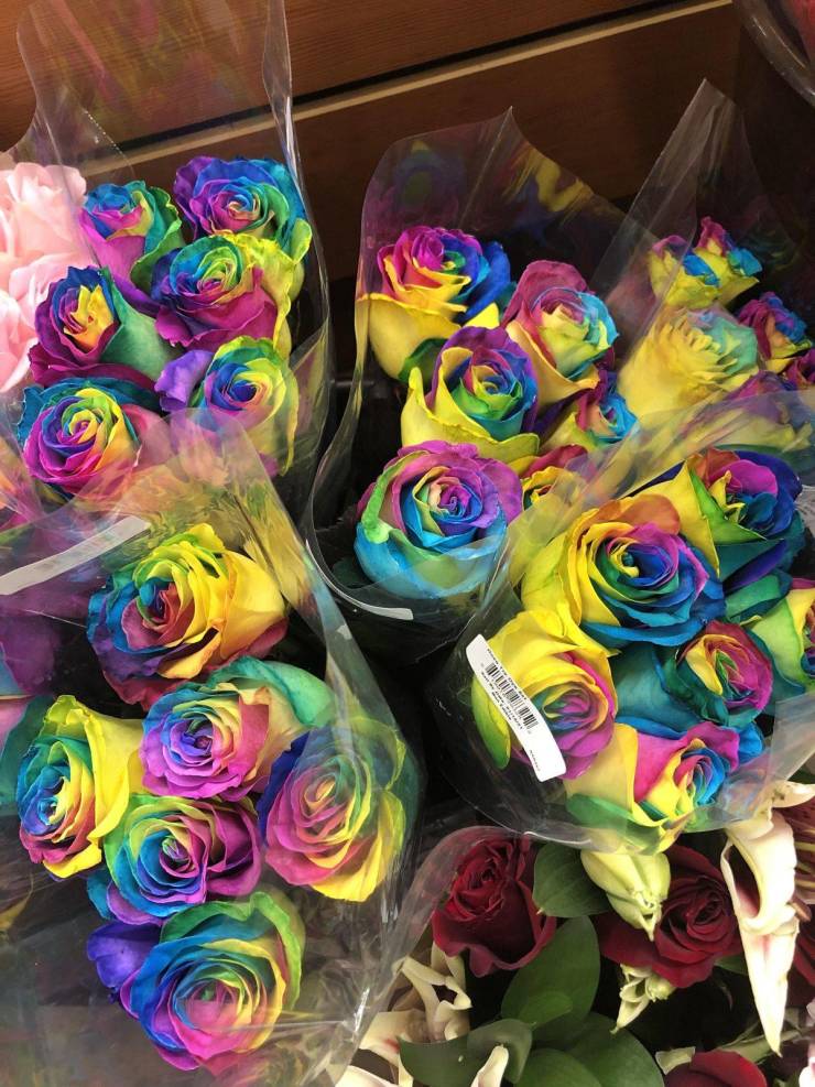 rainbow rose - m S
