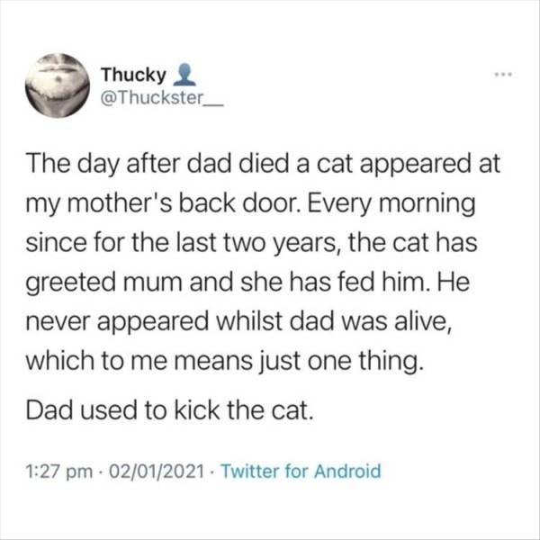 paper - Thucky The day after dad died a cat appeared at my mother's back door. Every morning since for the last two years, the cat has greeted mum and she has fed him. He never appeared whilst dad was alive, which to me means just one thing. Dad used to k