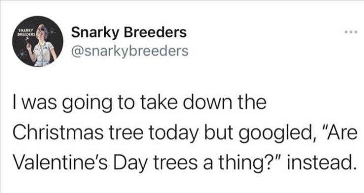paper - Snarky Breeders Snarky Breeders I was going to take down the Christmas tree today but googled, "Are Valentine's Day trees a thing?" instead.
