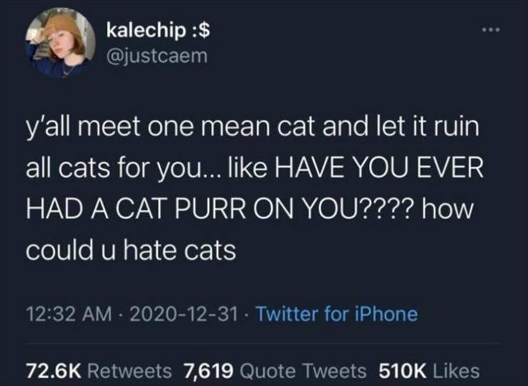 ll admit it i am the problem - kalechip $ y'all meet one mean cat and let it ruin all cats for you... Have You Ever Had A Cat Purr On You???? how could u hate cats Twitter for iPhone 7,619 Quote Tweets