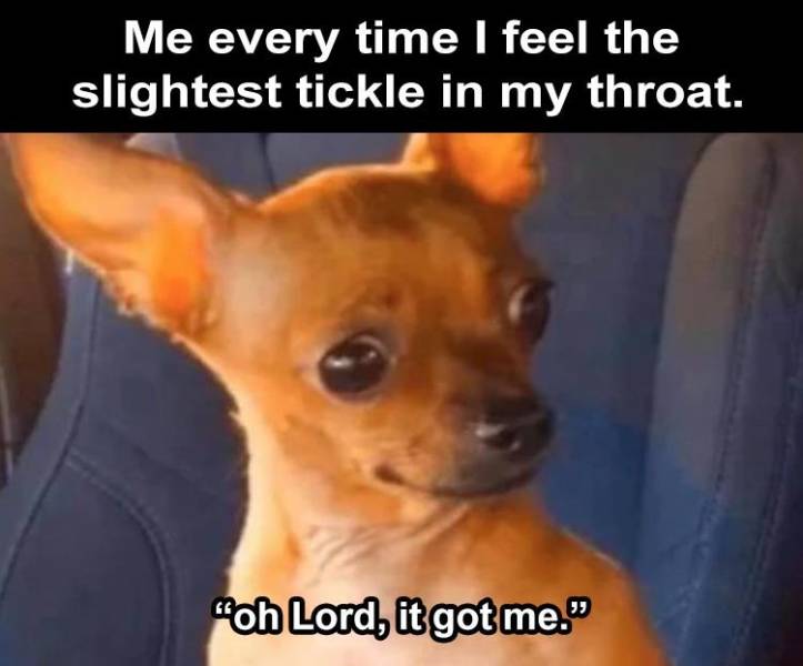 me every time i feel the slightest tickle in my throat - Me every time I feel the slightest tickle in my throat. "oh Lord, it got me."